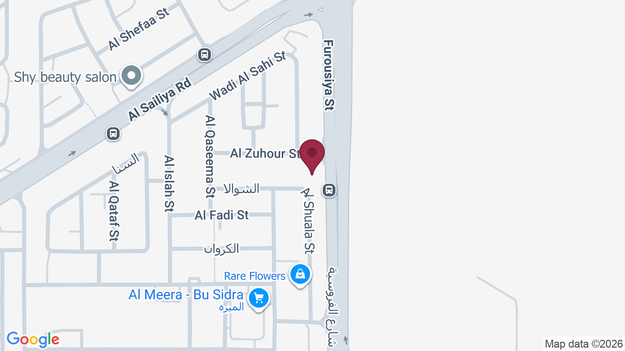 Map showing Lion Salon for Men 2 صالون الأسد للرجال ٢