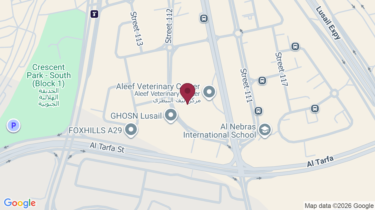 Map showing MJ saloon lusail