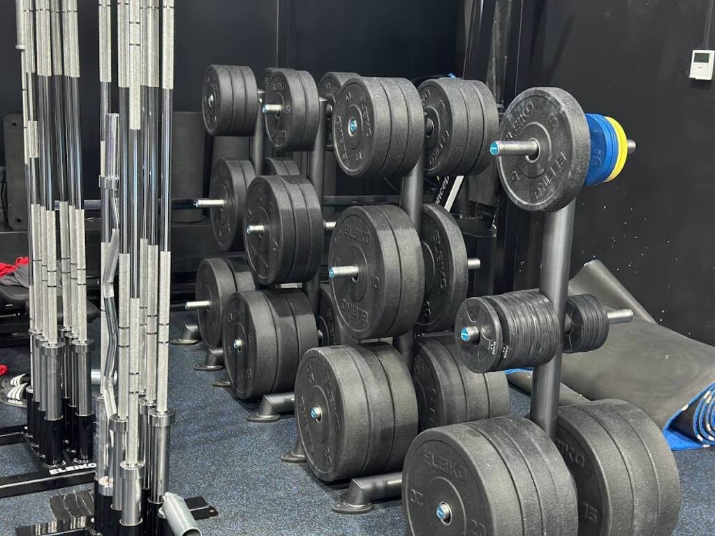 FITNESS IN GYM