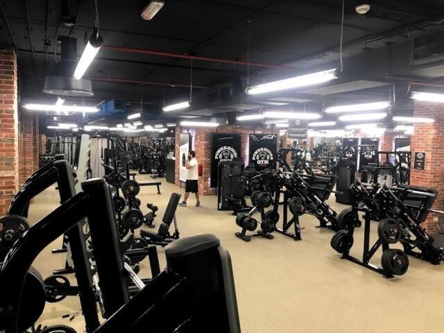 Powerhouse Gym Salwa Qatar باورهاوس جيم طريق سلوى – Gyms & Fitness, Doha