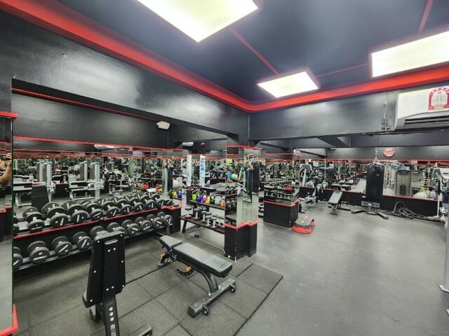 NEW DOHA FITNESS – Gyms & Fitness, Doha