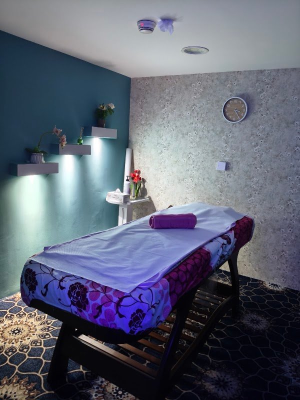 professional touch spa